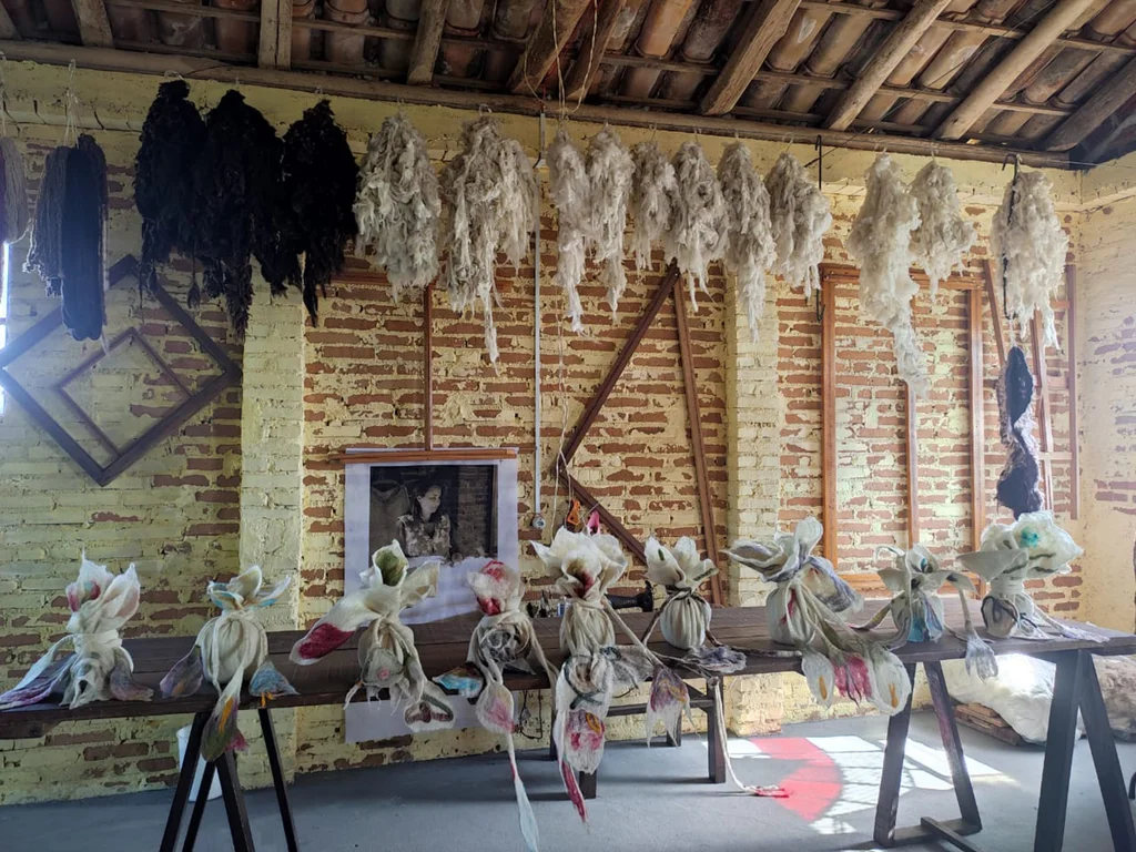 Exposição de lã com leilão beneficente começa hoje