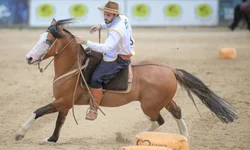 Égua de Aceguá é campeão do Bocal de Ouro