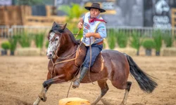 Égua de Aceguá é campeão do Bocal de Ouro