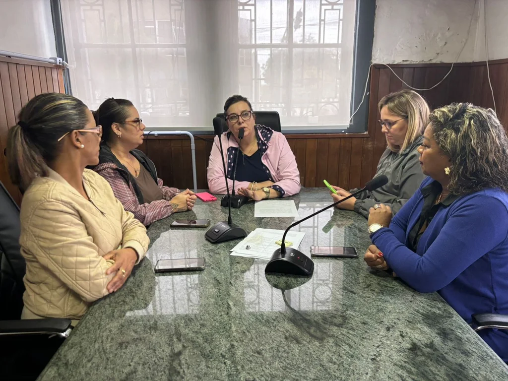 Câmara quer intensificar ações de enfrentamento à violência contra a mulher