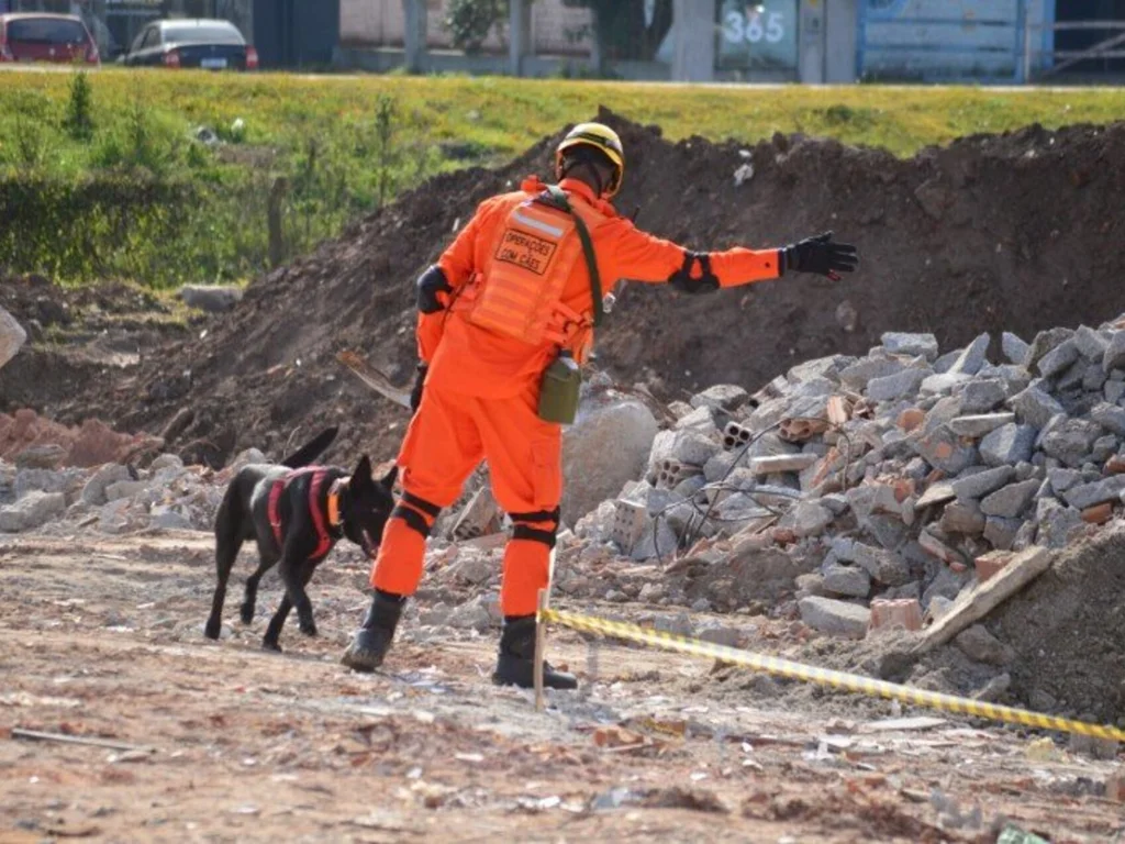 Bombeiros gaúchos e cães irão auxiliar em Petrópolis
