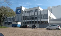 Azeite de oliva gaúcho recebe reconhecimento