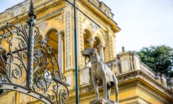 Psicóloga aborda fatores de vulnerabilidade e proteção