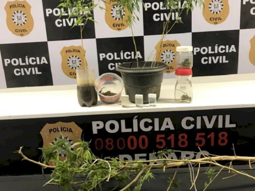Funcionário público é preso porplantio de maconha