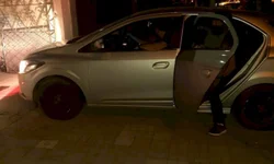 A volta dos gafanhotos