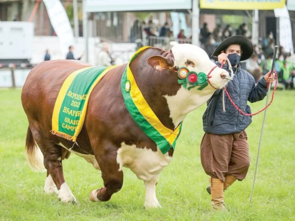 Desfile dos campeões marca abertura oficial da Expointer