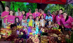 Pânico é estreia desta semana no Cine 7