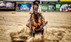 ABCCC cancela concentração de machos