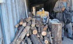 Saúde distribui mais de dois mil exames em uma semana