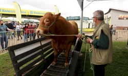 Desfile dos campeões marca abertura oficial da Expointer