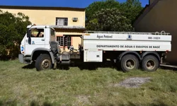 Queda de granizo na região mata 50 pássaros