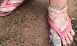 MEC antecipa prazos de inscrições do Sisu, Prouni e Fies