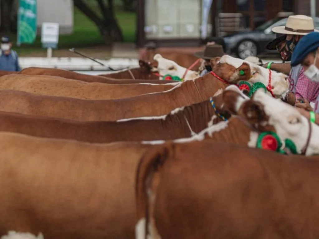 Comprovação de paternidade será obrigatória para raças