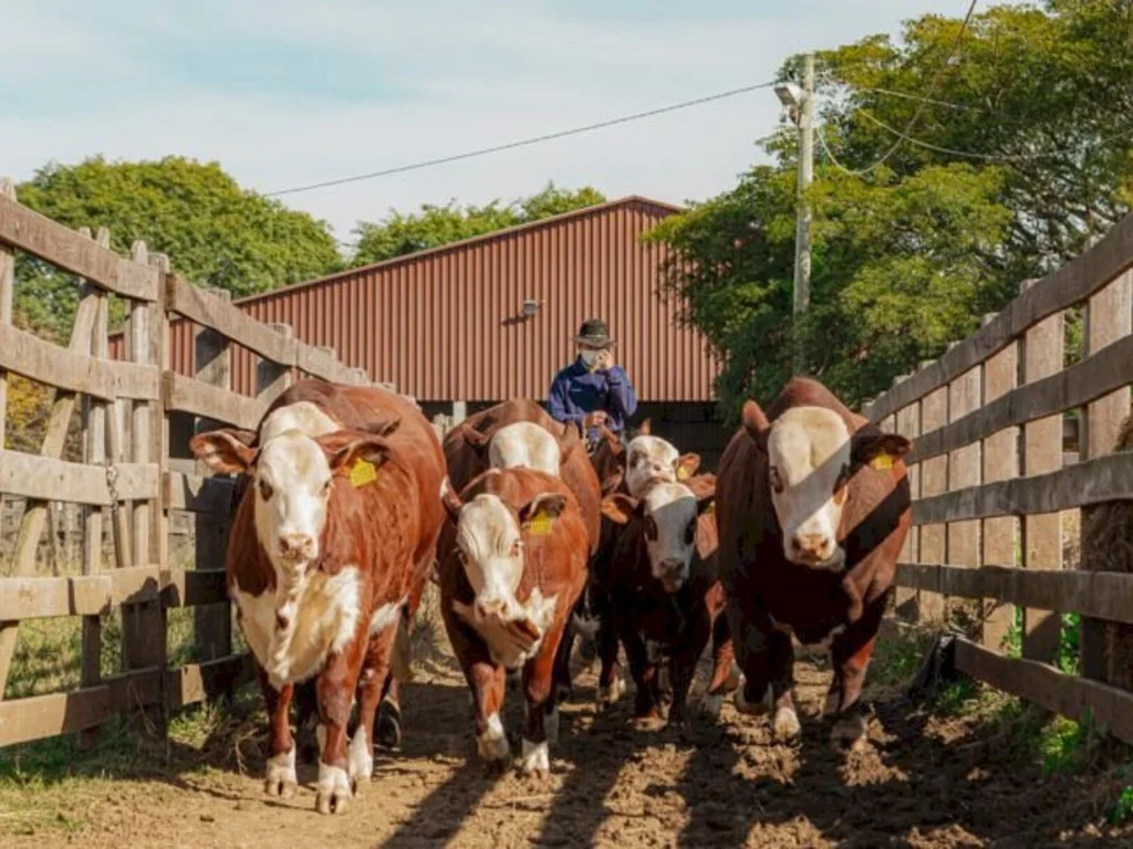 Exposição nacional irá movimentar Rainha da Fronteira