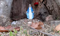 Comércio aposta até neste sábado para o Dia dos Namorados