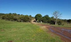 IFSul de Bagé divulga relação  de aprovados