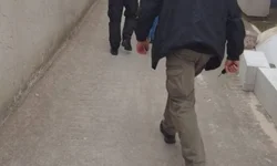 PL quer obrigar denúncia de maus-tratos em condomínios