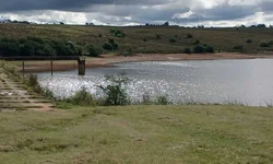 Estudantes iniciam vivência artística no programa “A Escola Vai ao Teatro”