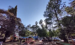 Lideranças avaliam medidas do governo sobre o leite