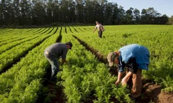 Cadastro para agricultores é atualizado