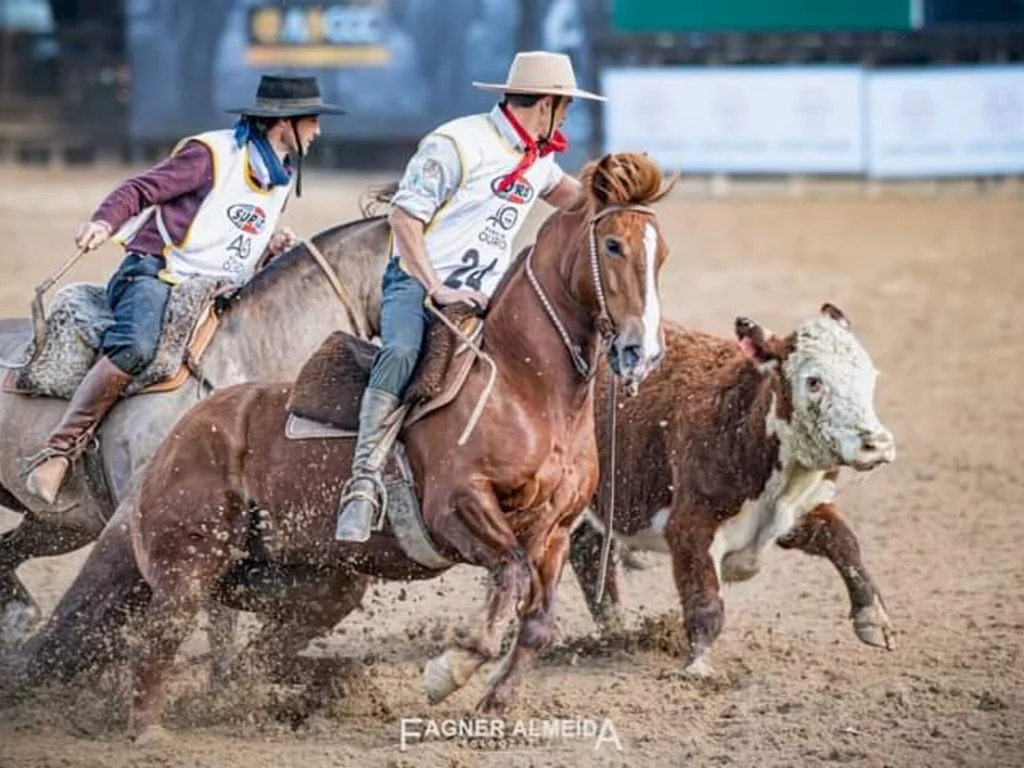 Égua de Dom Pedrito é Freio de Ouro