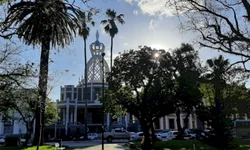 Apenados confeccionam casas para animais