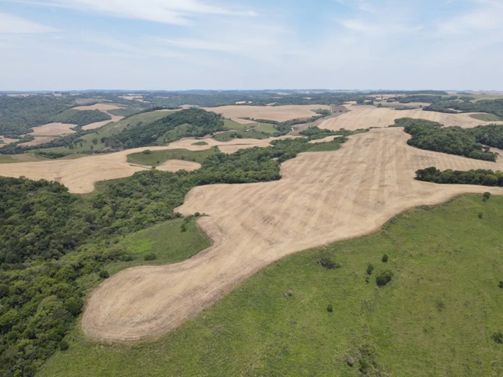 Ibama fiscaliza supressão de campos nativos em Bagé