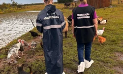 Senado analisa aumento do prazo de reincidência