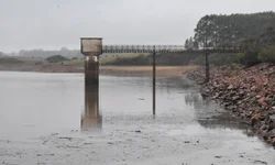 Patrícia Coradini receberá medalha na Assembleia Legislativa