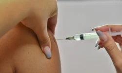 Comércio deve ter crescimento de 5% a 10% nas vendas