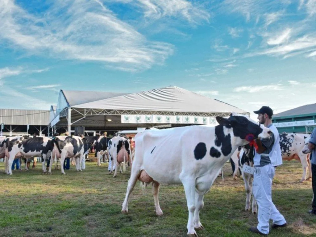 Expoleite Fenasul retorna este ano