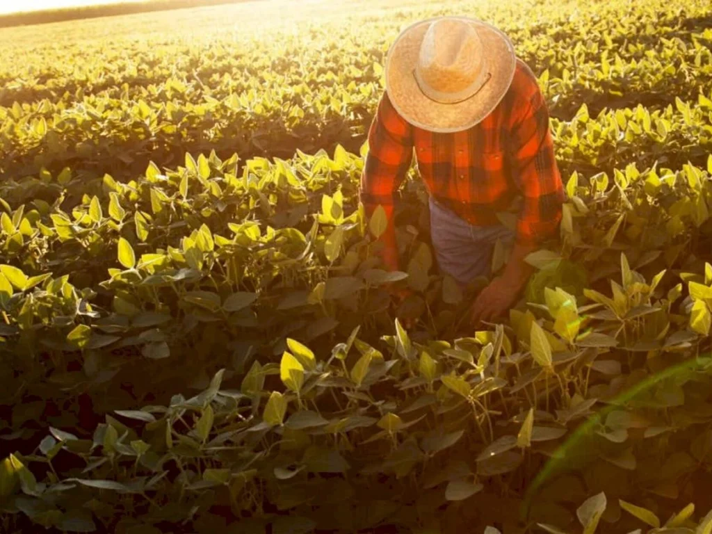 Aapecan destaca ‘Verão Laranja’ de prevenção ao câncer de pele