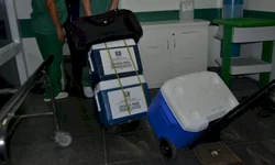 Homem é baleado e levado para Pelotas