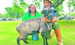 Casal do Paraná cruza o país para participar de feira em Bagé