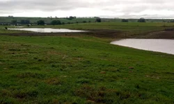 Presidente fala da tradição de Bagé na Expointer