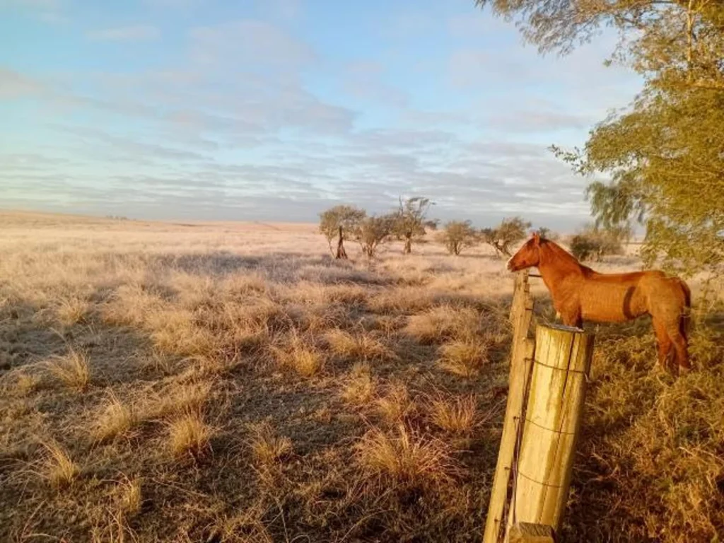 Bagé tem madrugada congelante e novo recorde de frio