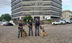 Jovem morre após descarga elétrica