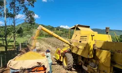 Agricultores familiares podem consultar produtos