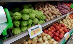 Procon de Bagé destaca chance de ‘limpar o nome’