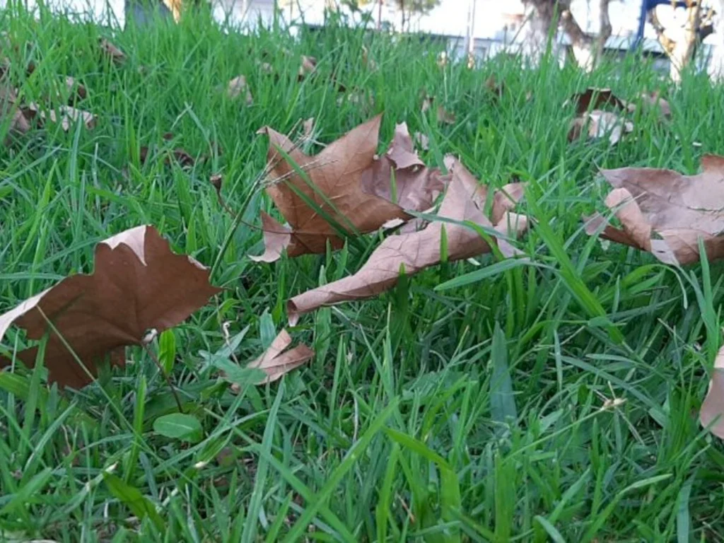 Primeira onda de frio chega no sábado