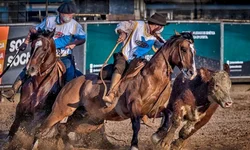 ABCCC cancela concentração de machos