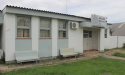 Homem não apresenta documentos e animais são apreendidos