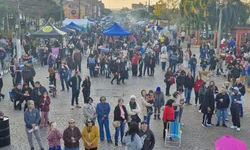 Câmara aprova porte de arma para monitores de ressocialização prisional
