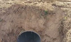 Ação leva castração e cuidados a animais do Aterro