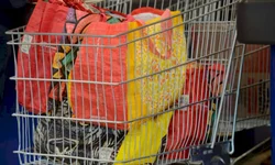 Decisão do STF determina que Aceguá volte a ser distrito