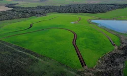 Estado divulga primeiros beneficiários da Operação Terra Forte