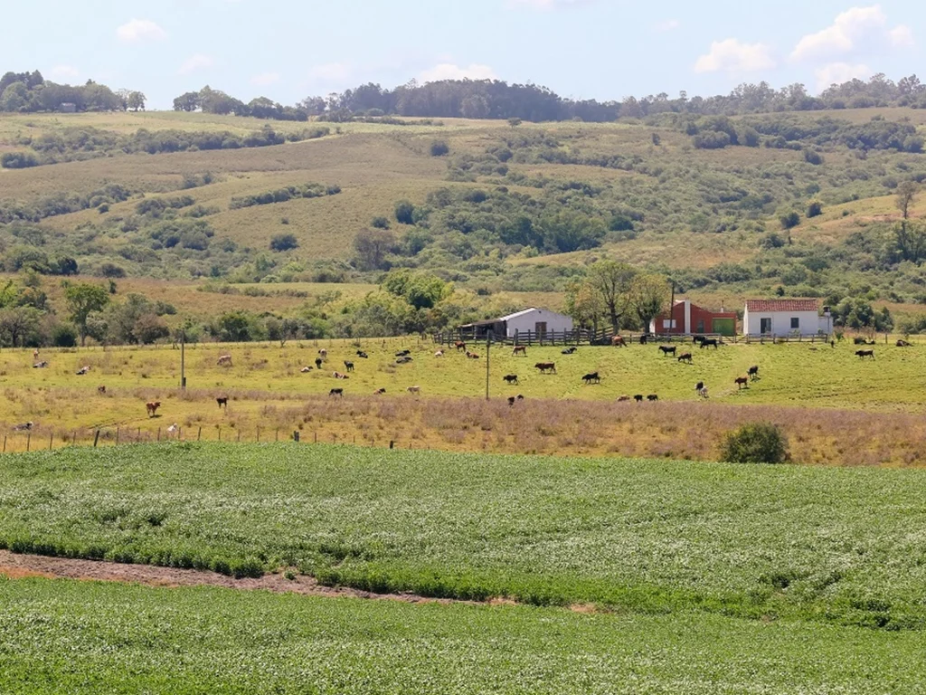 “Carta do Bioma Pampa” abre consulta pública