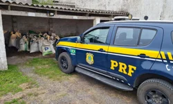 Lideranças de Bagé avaliam realização da Expointer