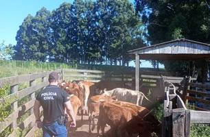 Sanga Funda investiga esquema de furto e venda ilegal de gado