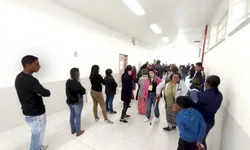 Mainardi, Adriana e Hamm são eleitos